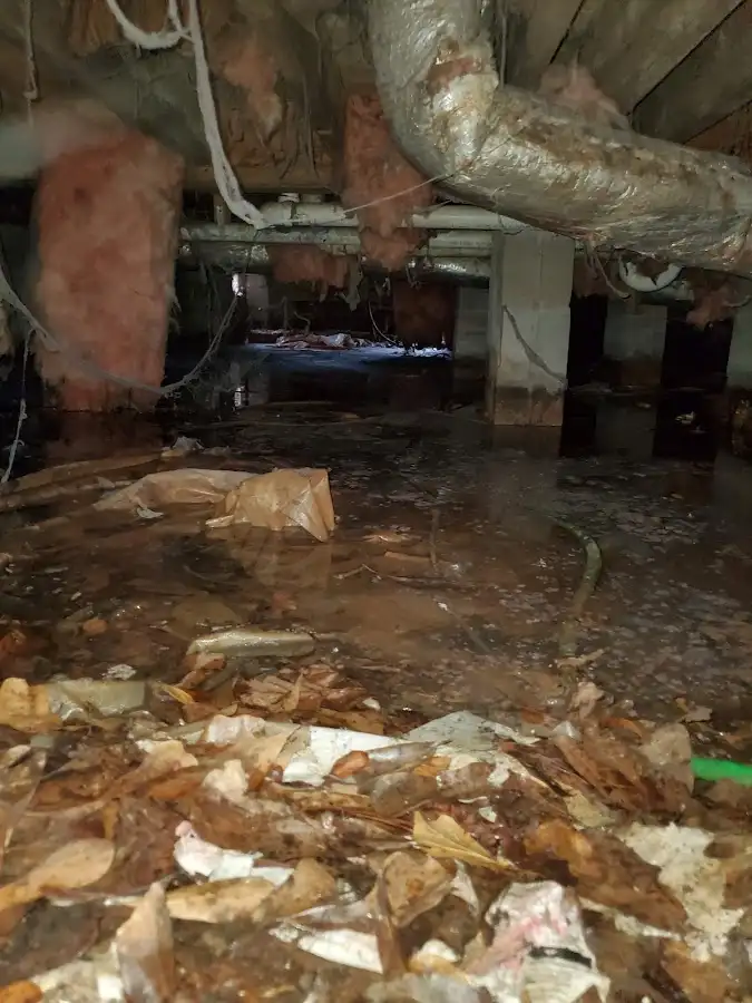 Crawl space flood assessment for Leak Detection & Repair in Mountain Brook