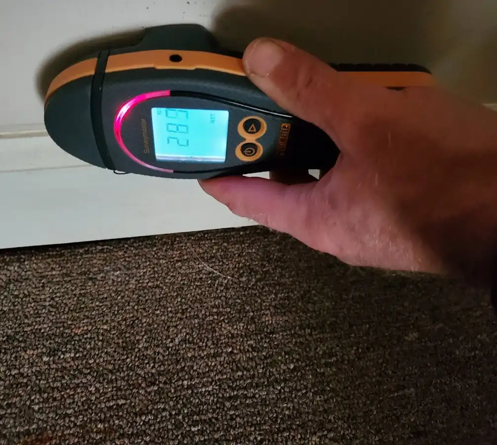 Moisture detection at baseboard during Sewage Cleanup & Sanitation in Mountain Brook